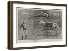 The Circus at Covent Garden Theatre-null-Framed Giclee Print