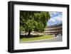 The Circus, Georgian Architecture in Bath, Avon and Somerset, England, United Kingdom, Europe-Matthew Williams-Ellis-Framed Photographic Print