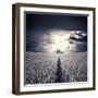 The Circus-Luis Beltran-Framed Photographic Print