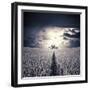 The Circus-Luis Beltran-Framed Photographic Print