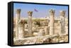 The Citadel, Amman, Jordan.-Nico Tondini-Framed Stretched Canvas