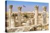 The Citadel, Amman, Jordan.-Nico Tondini-Stretched Canvas