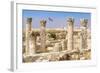 The Citadel, Amman, Jordan.-Nico Tondini-Framed Photographic Print