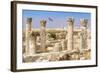 The Citadel, Amman, Jordan.-Nico Tondini-Framed Photographic Print