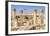 The Citadel, Amman, Jordan.-Nico Tondini-Framed Photographic Print