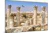 The Citadel, Amman, Jordan.-Nico Tondini-Mounted Photographic Print