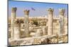 The Citadel, Amman, Jordan.-Nico Tondini-Mounted Photographic Print