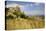 The Citadelle, Deserted Village of Craco in Basilicata, Italy, Europe-Olivier Goujon-Stretched Canvas
