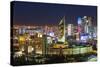 The City Center and Central Business District at Night, Astana, Kazakhstan, Central Asia-Gavin Hellier-Stretched Canvas