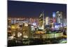 The City Center and Central Business District at Night, Astana, Kazakhstan, Central Asia-Gavin Hellier-Mounted Photographic Print