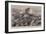 The City Imperial Volunteers in Action, a Reconnaissance in Force Near Britstown-Frederic De Haenen-Framed Giclee Print