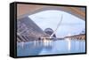 The City of Arts and Sciences (Ciudad De Las Artes Y Las Ciencias) in Valencia, Spain, Europe-Julian Elliott-Framed Stretched Canvas