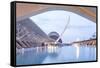 The City of Arts and Sciences (Ciudad De Las Artes Y Las Ciencias) in Valencia, Spain, Europe-Julian Elliott-Framed Stretched Canvas