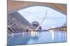 The City of Arts and Sciences (Ciudad De Las Artes Y Las Ciencias) in Valencia, Spain, Europe-Julian Elliott-Mounted Photographic Print