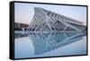 The City of Arts and Sciences (Ciudad De Las Artes Y Las Ciencias) in Valencia, Spain, Europe-Julian Elliott-Framed Stretched Canvas