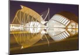 The City of Arts and Sciences (Ciudad De Las Artes Y Las Ciencias) in Valencia, Spain, Europe-Julian Elliott-Mounted Photographic Print