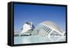The City of Arts and Sciences, Valencia, Spain, Europe-Michael Snell-Framed Stretched Canvas