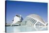 The City of Arts and Sciences, Valencia, Spain, Europe-Michael Snell-Stretched Canvas