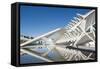 The City of Arts and Sciences, Valencia, Spain, Europe-Michael Snell-Framed Stretched Canvas