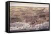 The City of Chicago-Currier & Ives-Framed Stretched Canvas