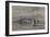 The City of Montevideo, Uruguay, South America-null-Framed Giclee Print