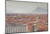 The City of Turin with the Italian Alps Looming in the Background, Turin, Piedmont, Italy, Europe-Julian Elliott-Mounted Photographic Print