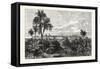 The City of Vera Cruz, Mexico, 1870s-null-Framed Stretched Canvas
