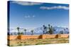 The City Ramparts, High Atlas Mountains, Marrakech, Morocco-Nico Tondini-Stretched Canvas