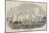 The City Steamboat Company's Vessels-null-Mounted Giclee Print