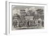 The Civil War in America, Confederate Prisoners in Camp Georgia, Roanoke Island-null-Framed Giclee Print