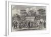 The Civil War in America, Confederate Prisoners in Camp Georgia, Roanoke Island-null-Framed Giclee Print