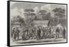 The Civil War in America, Confederate Prisoners in Camp Georgia, Roanoke Island-null-Framed Stretched Canvas