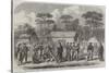 The Civil War in America, Confederate Prisoners in Camp Georgia, Roanoke Island-null-Stretched Canvas