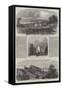 The Civil War in America-George Henry Andrews-Framed Stretched Canvas