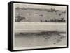The Civil War in Brazil-null-Framed Stretched Canvas