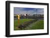 The Claddagh, County Galway, Connacht, Republic of Ireland, Europe-Carsten Krieger-Framed Photographic Print