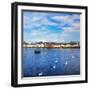 The Claddagh in Galway City during Summertime, Ireland.-Gabriela Insuratelu-Framed Photographic Print