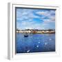 The Claddagh in Galway City during Summertime, Ireland.-Gabriela Insuratelu-Framed Photographic Print