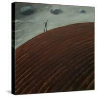 The Claggy Hill-Chris Ross Williamson-Stretched Canvas