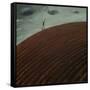 The Claggy Hill-Chris Ross Williamson-Framed Stretched Canvas