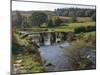 The Clapper Bridge at Postbridge, Dartmoor National Park, Devon, England, United Kingdom, Europe-James Emmerson-Mounted Photographic Print