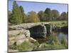 The Clapper Bridge at Postbridge, Dartmoor National Park, Devon, England, United Kingdom, Europe-James Emmerson-Mounted Photographic Print