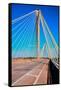 The Clark Bridge, also known as Cook Bridge, at Alton, Illinois, a Cable bridge carries U.S. Rou...-null-Framed Stretched Canvas