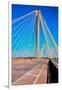 The Clark Bridge, also known as Cook Bridge, at Alton, Illinois, a Cable bridge carries U.S. Rou...-null-Framed Photographic Print