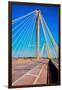 The Clark Bridge, also known as Cook Bridge, at Alton, Illinois, a Cable bridge carries U.S. Rou...-null-Framed Photographic Print