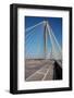 The Clark Bridge over the Mississippi River, also known as Cook Bridge, at Alton, Illinois-Joseph Sohm-Framed Photographic Print