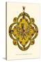 The Clasp of Emperor Charles V-H. Shaw-Stretched Canvas