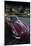 The Classic E-Type-Tim Kahane-Mounted Photographic Print