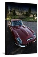 The Classic E-Type-Tim Kahane-Stretched Canvas