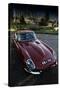 The Classic E-Type-Tim Kahane-Stretched Canvas